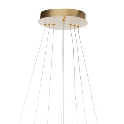 ONLI - LED lustra uz kabeļa NOELIA LED/40W/230V zelta