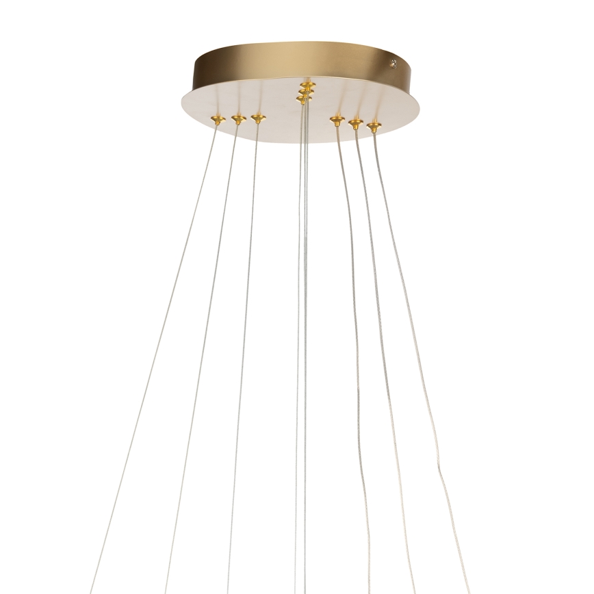ONLI - LED lustra uz kabeļa NOELIA LED/40W/230V zelta