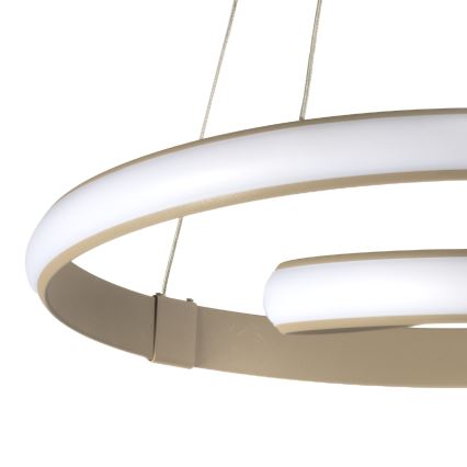 ONLI - LED lustra uz troses MATISSE LED/40W/230V bēša