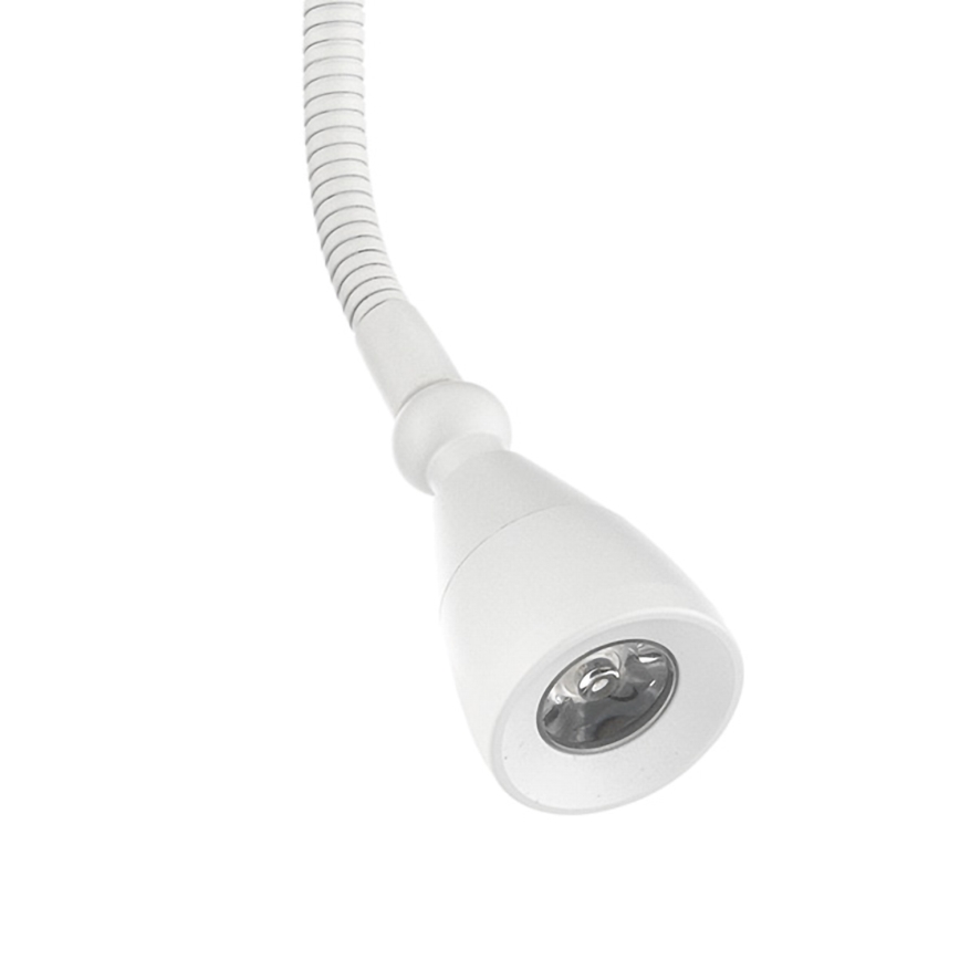 ONLI - LED Pielāgojama lampiņa LEXI LED/1W/230V 4000K balta