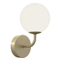 ONLI - Sienas lampa PALOMA 1xG9/10W/230V zelta