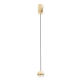 Open Design OR85099 - LED griestu lampa uz troses BOLICINA LED/5W/230V zelta
