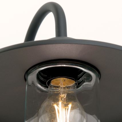Āra sienas lampa EDWARD 1xE27/60W/230V IP44 melna