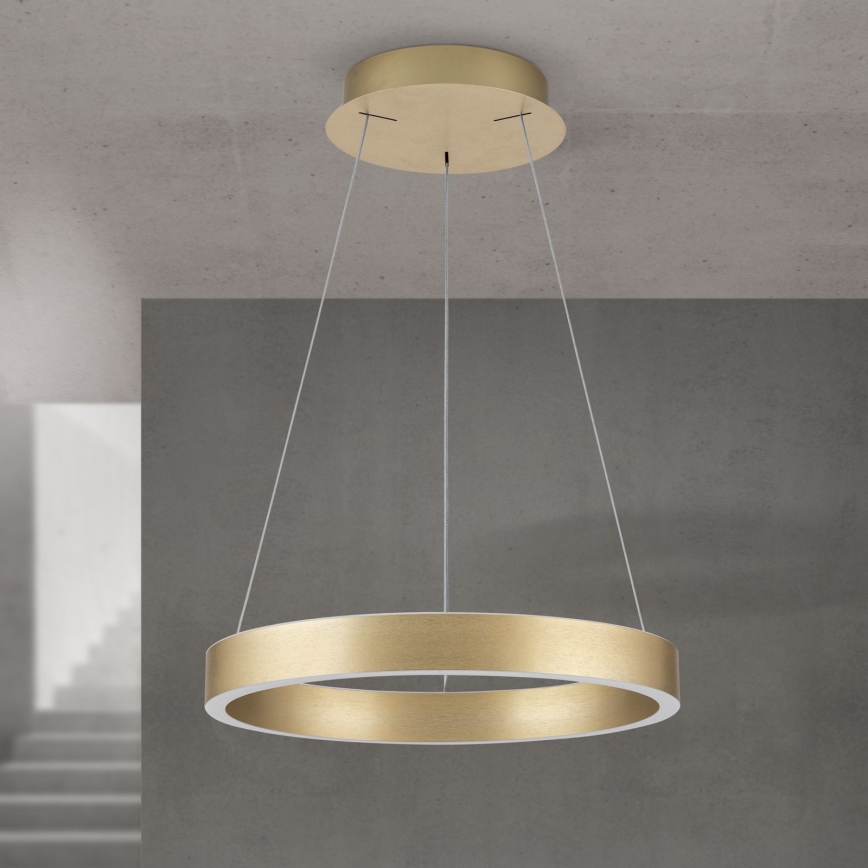 dimējama LED piekaramā lustra uz troses KOLK LED/40W/230V 2700/3000/4000K Ø 40 cm zelta
