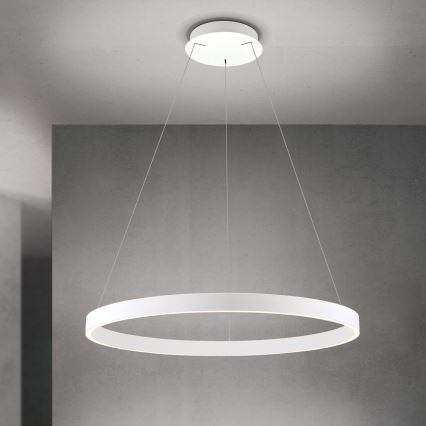 regulējama LED lustra uz kabeļa KOLK LED/80W/230V 2700/3000/4000K Ø 80 cm balta