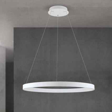regulējama LED lustra uz kabeļa KOLK LED/80W/230V 2700/3000/4000K Ø 80 cm balta