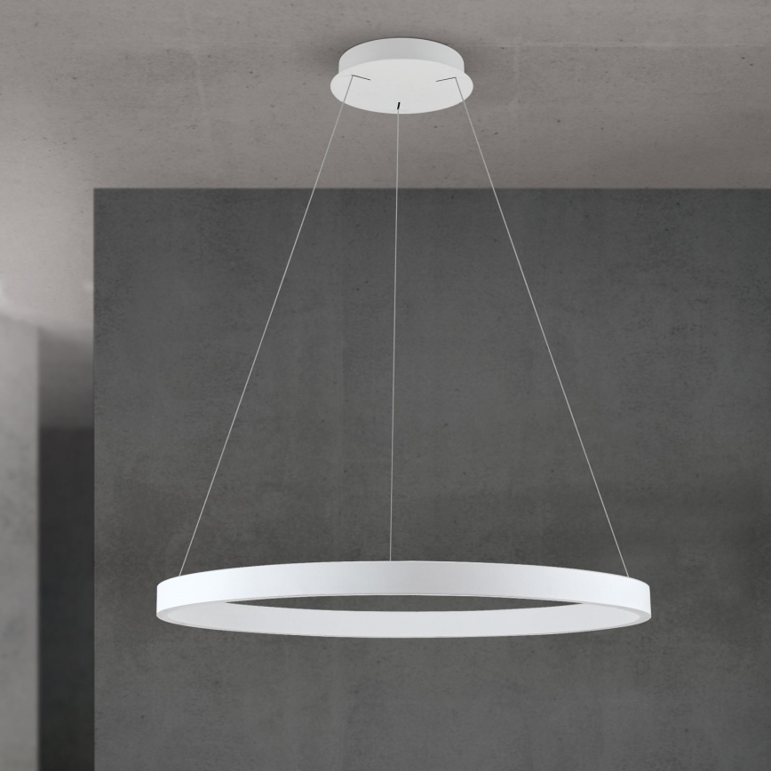regulējama LED lustra uz kabeļa KOLK LED/80W/230V 2700/3000/4000K Ø 80 cm balta