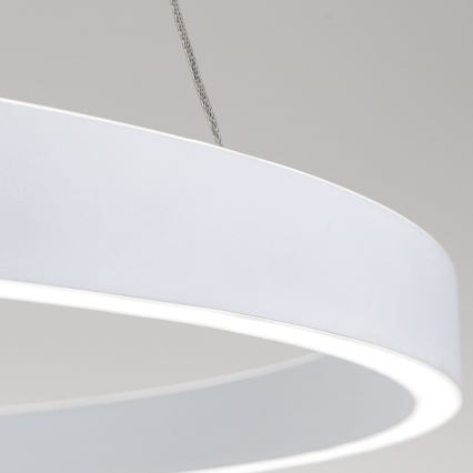 regulējama LED lustra uz kabeļa KOLK LED/80W/230V 2700/3000/4000K Ø 80 cm balta