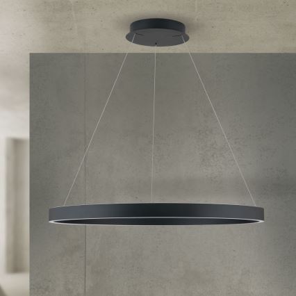 regulējama LED lustra uz troses KOLK LED/80W/230V 2700/3000/4000K Ø 80 cm, melna