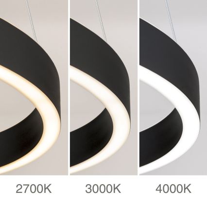 regulējama LED lustra uz troses KOLK LED/80W/230V 2700/3000/4000K Ø 80 cm, melna