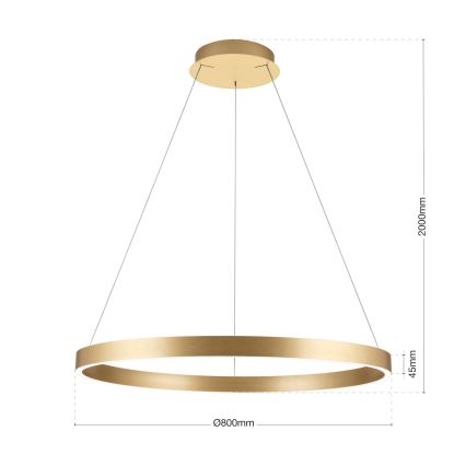 LED dimējama lustra uz kabeļa KOLK LED/80W/230V 2700/3000/4000K Ø 80 cm zelta