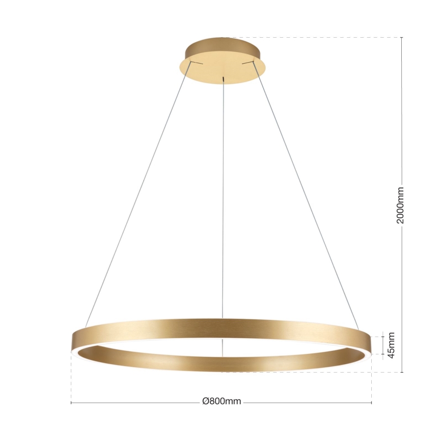 LED dimējama lustra uz kabeļa KOLK LED/80W/230V 2700/3000/4000K Ø 80 cm zelta