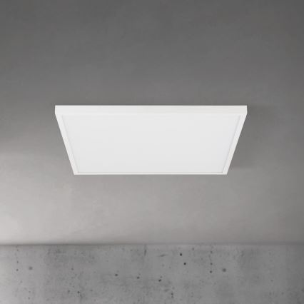 LED Aptumšojama griestu lampa DISC LED/46W/230V 2700/3000/4000K 59x59 cm balta