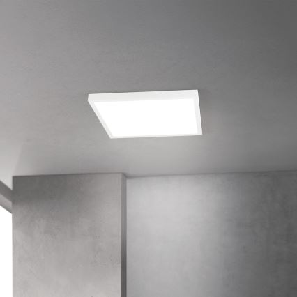 LED regulējamais griestu gaismeklis DISC LED/30W/230V 2700/3000/4000K 39x39 cm balts