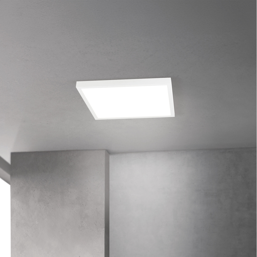 LED regulējamais griestu gaismeklis DISC LED/30W/230V 2700/3000/4000K 39x39 cm balts