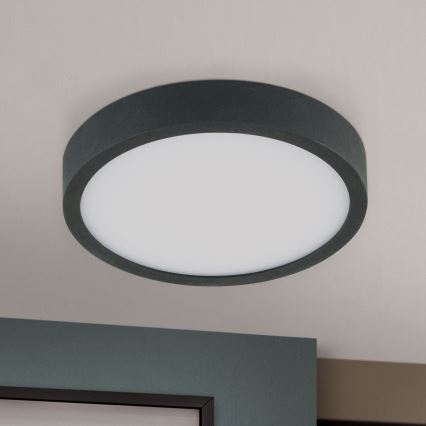 LED Griestu lampa BULLY LED/12W/230V d. 14 cm melna