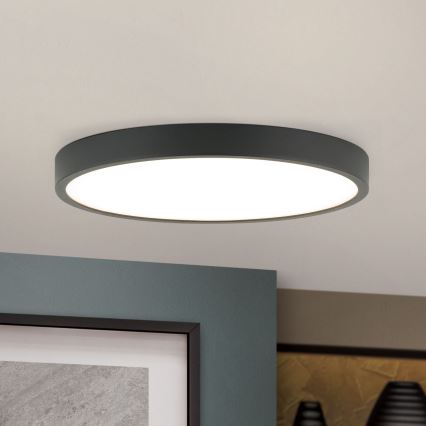 LED Griestu lampa BULLY LED/24W/230V d. 24 cm melna