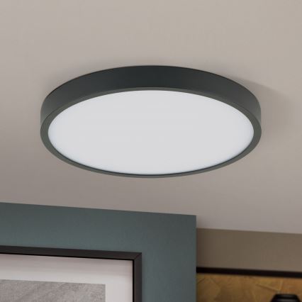 LED Griestu lampa BULLY LED/24W/230V d. 24 cm melna
