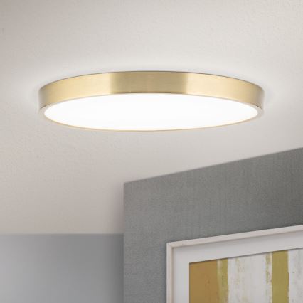 LED Griestu lampa BULLY LED/28W/230V d. 28 cm zelta