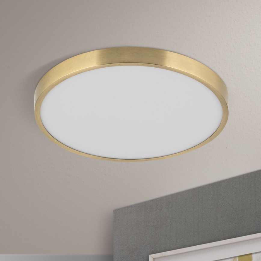LED Griestu lampa BULLY LED/28W/230V d. 28 cm zelta