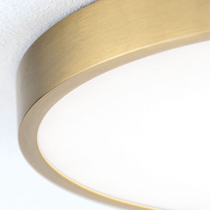 LED Griestu lampa BULLY LED/28W/230V d. 28 cm zelta
