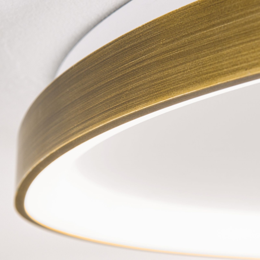 LED Griestu lampa CHARLIE LED/48W/230V d. 65 cm zelta