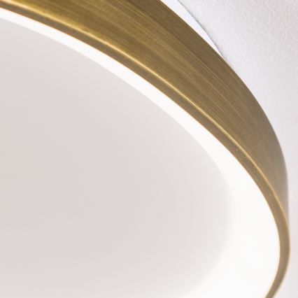 LED Griestu lampa CHARLIE LED/48W/230V d. 65 cm zelta