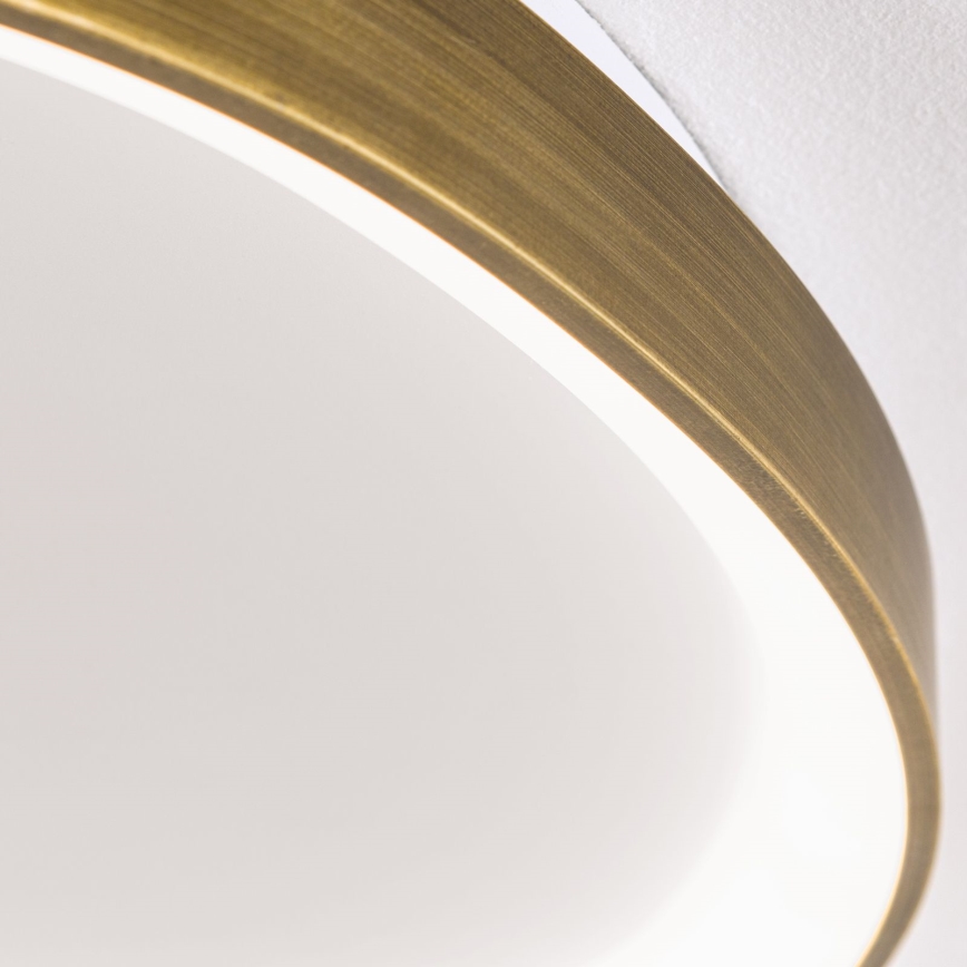 LED Griestu lampa CHARLIE LED/48W/230V d. 65 cm zelta