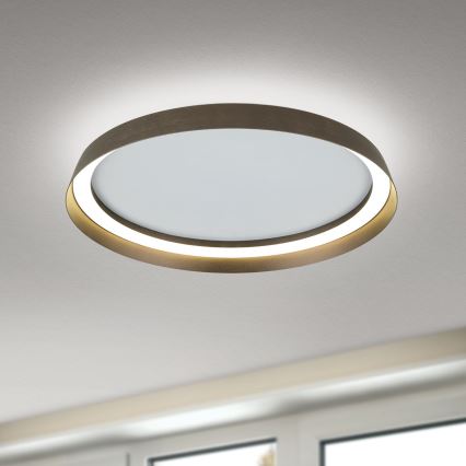 LED Aptumšojama griestu lampa MANTA LED/38W/230V 2700/3000/4000K d. 45 cm brūna