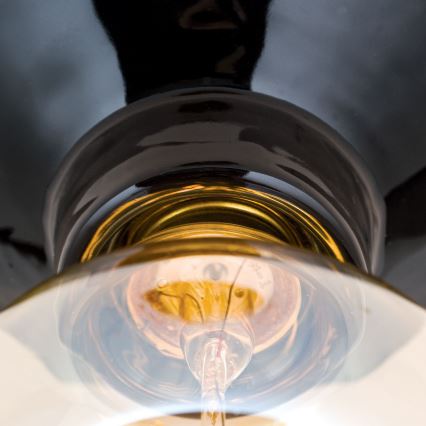 Griestu lampa FROST 1xE27/60W/230V melna