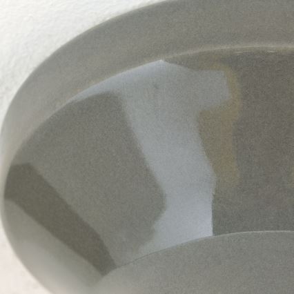 Griestu lampa FROST 1xE27/60W/230V pelēka