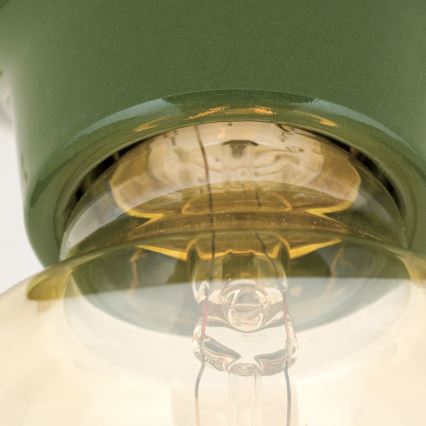 Griestu lampa FROST 1xE27/60W/230V zaļa