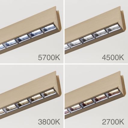 LED regulējams lustra uz stieples TARA LED/44W/230V 2700/3800/4500/5700K zelta krāsā