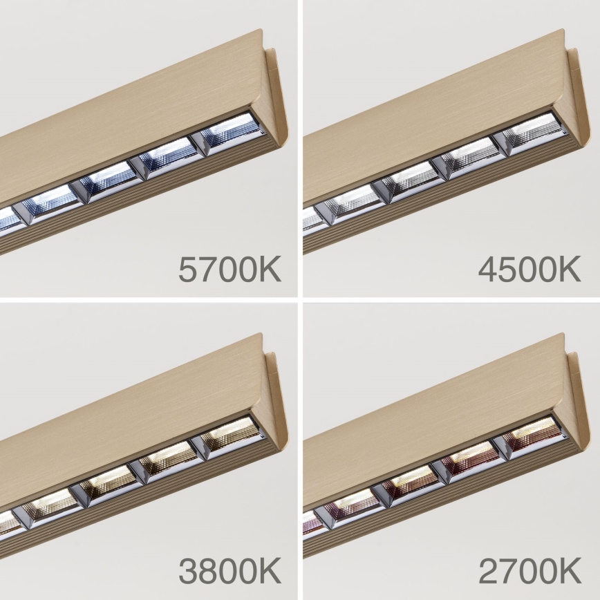 LED regulējams lustra uz stieples TARA LED/44W/230V 2700/3800/4500/5700K zelta krāsā