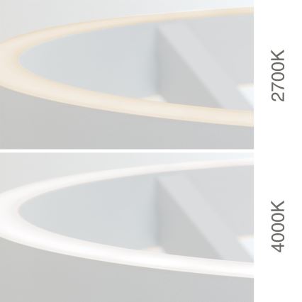 LED Dimējama stāvlampa KOLK LED/40W/230V 2700/4000K balta