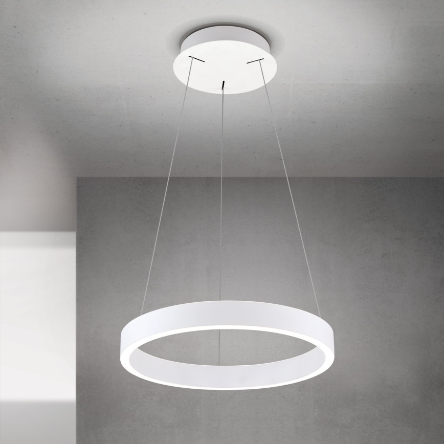 LED lustra ar regulējamu spilgtumu uz vada KOLK LED/40W/230V 2700/3000/4000K Ø40 cm balta