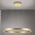 Orion - LED dimējama lustra uz kabeļa KOLK LED/80W/230V 2700/3000/4000K Ø 80 cm zelta