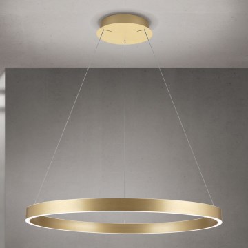 Orion - LED dimējama lustra uz kabeļa KOLK LED/80W/230V 2700/3000/4000K Ø 80 cm zelta