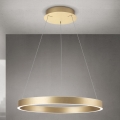 Orion - LED dimmējama lustra uz troses KOLK LED/60W/230V 2700/3000/4000K Ø 60 cm zelta