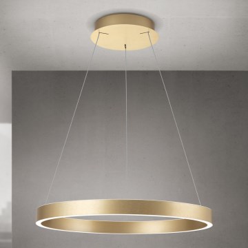 Orion - LED dimmējama lustra uz troses KOLK LED/60W/230V 2700/3000/4000K Ø 60 cm zelta