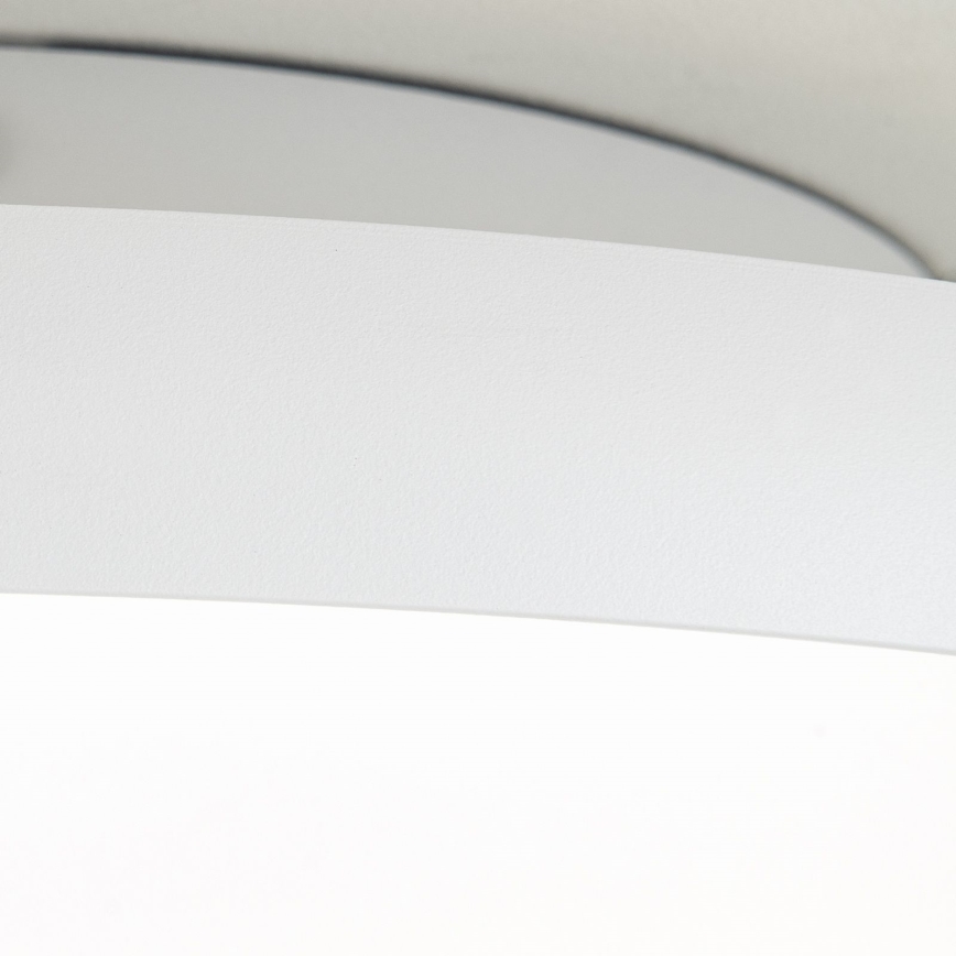 LED griestu lampa KANT LED/30W/230V 2700/3200/4000K Ø 40 cm balta