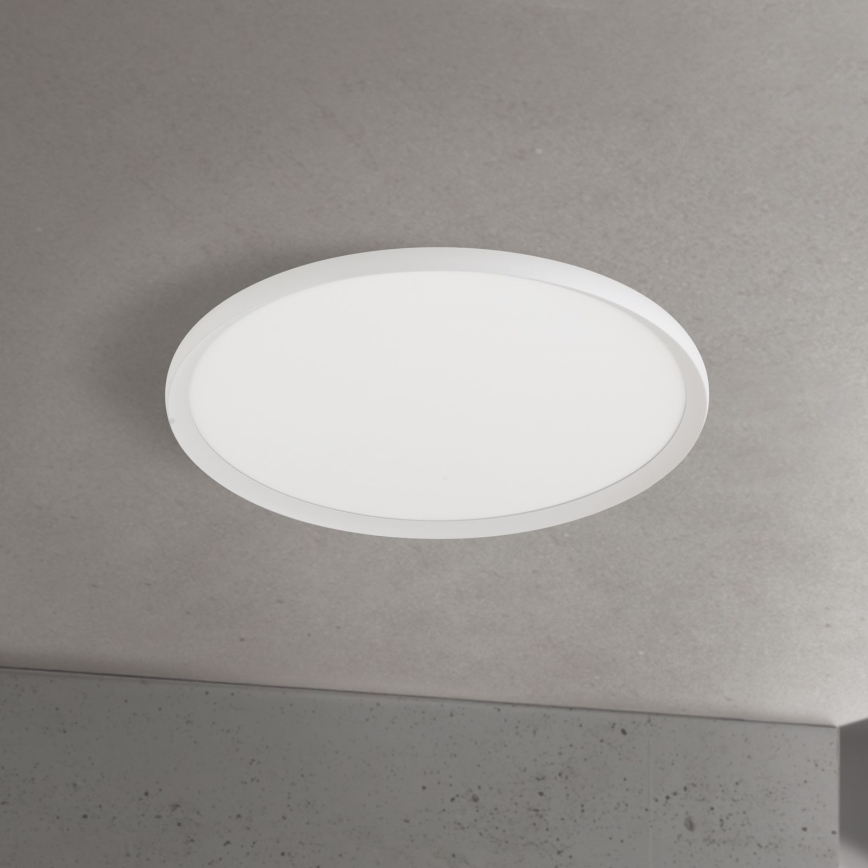 LED griestu lampa KANT LED/50W/230V 2700/3000/4000K Ø 60 cm balta