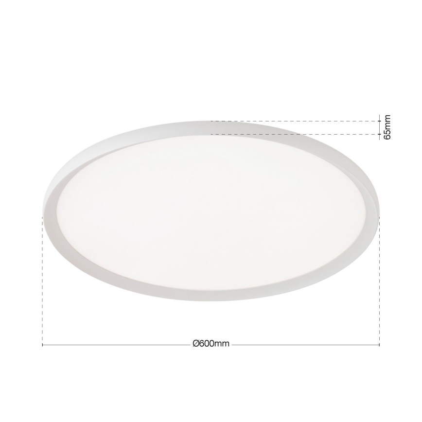LED griestu lampa KANT LED/50W/230V 2700/3000/4000K Ø 60 cm balta