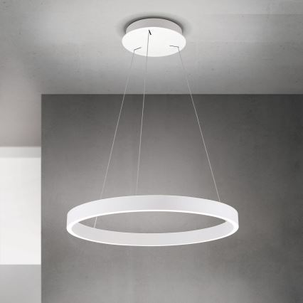 LED regulējama lustra ar kabeli KOLK LED/60W/230V 2700/3000/4000K pr. 60 cm balta