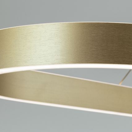 LED lustra uz troses CARRARA LED/80W/230V 2700/3000/4000K zelta krāsā