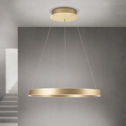 LED dimmējama lustra uz troses KOLK LED/60W/230V 2700/3000/4000K Ø 60 cm zelta