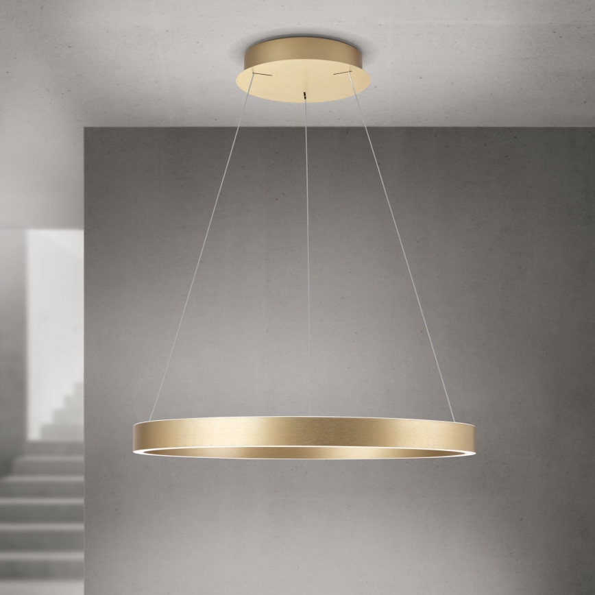 LED dimmējama lustra uz troses KOLK LED/60W/230V 2700/3000/4000K Ø 60 cm zelta