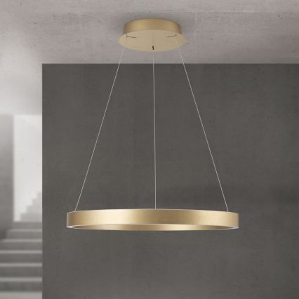 LED dimmējama lustra uz troses KOLK LED/60W/230V 2700/3000/4000K Ø 60 cm zelta