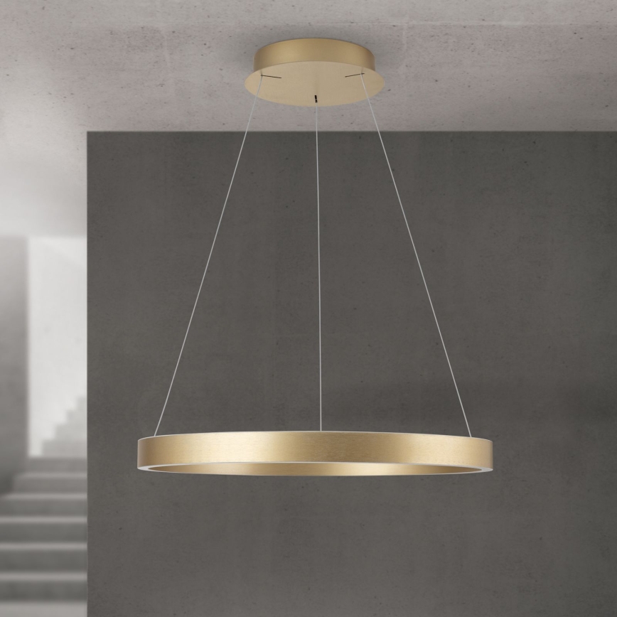 LED dimmējama lustra uz troses KOLK LED/60W/230V 2700/3000/4000K Ø 60 cm zelta
