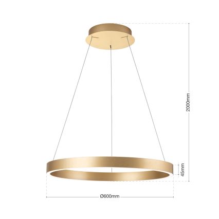 LED dimmējama lustra uz troses KOLK LED/60W/230V 2700/3000/4000K Ø 60 cm zelta